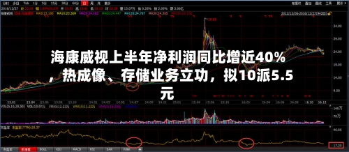 海康威视上半年净利润同比增近40%，热成像、存储业务立功	，拟10派5.5元-第2张图片