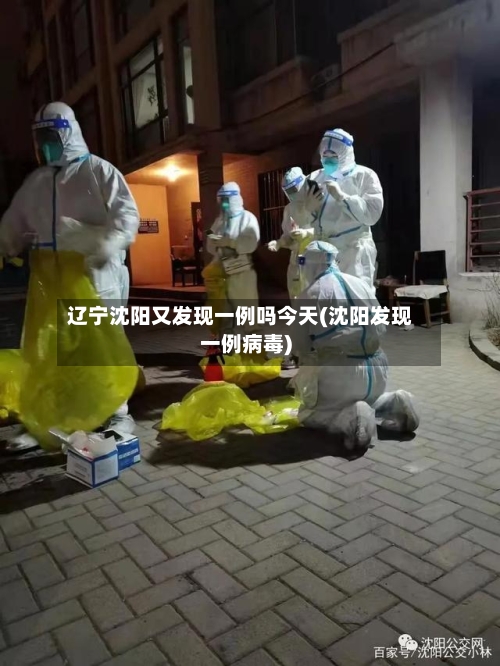 辽宁沈阳又发现一例吗今天(沈阳发现一例病毒)-第3张图片