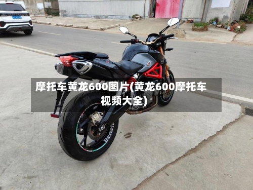 摩托车黄龙600图片(黄龙600摩托车视频大全)-第2张图片