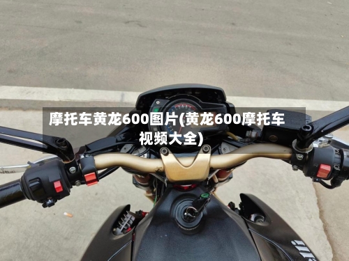 摩托车黄龙600图片(黄龙600摩托车视频大全)-第3张图片