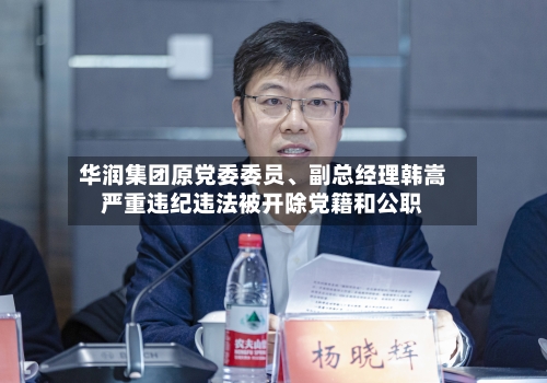 华润集团原党委委员、副总经理韩嵩严重违纪违法被开除党籍和公职-第2张图片