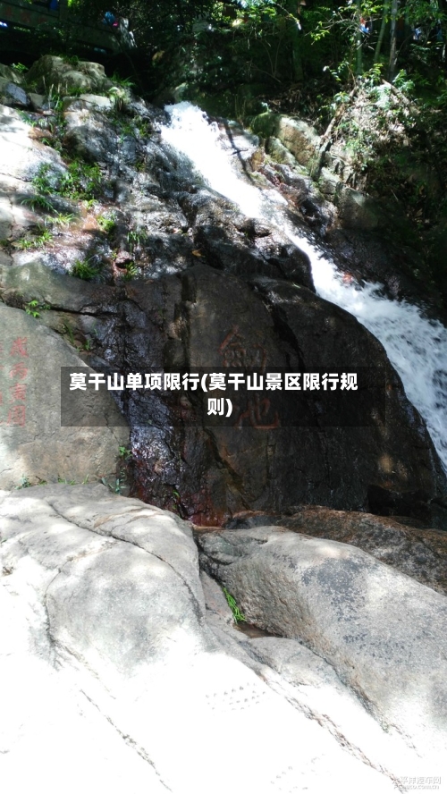 莫干山单项限行(莫干山景区限行规则)-第2张图片