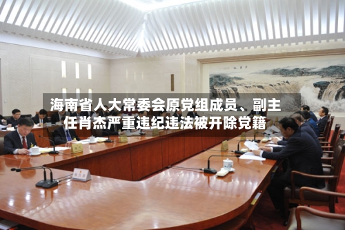 海南省人大常委会原党组成员、副主任肖杰严重违纪违法被开除党籍