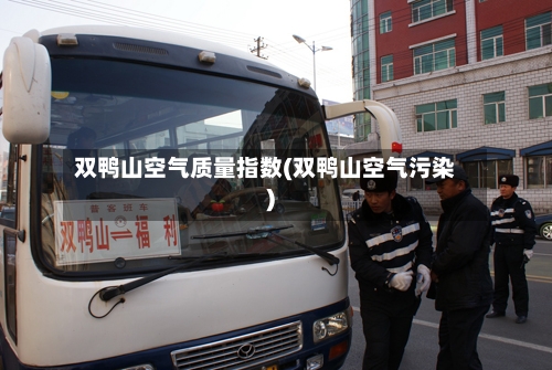 双鸭山空气质量指数(双鸭山空气污染)-第3张图片