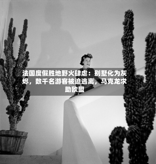 法国度假胜地野火肆虐：别墅化为灰烬，数千名游客被迫逃离	，马克龙求助欧盟-第2张图片