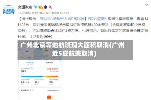 广州北京等地航班现大面积取消(广州近5成航班取消)