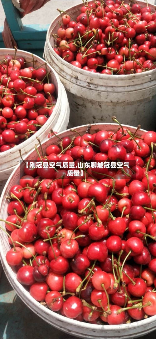 【刚冠县空气质量,山东聊城冠县空气质量】