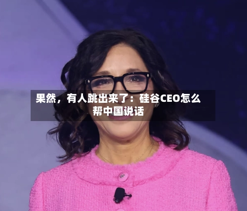 果然，有人跳出来了：硅谷CEO怎么帮中国说话-第2张图片