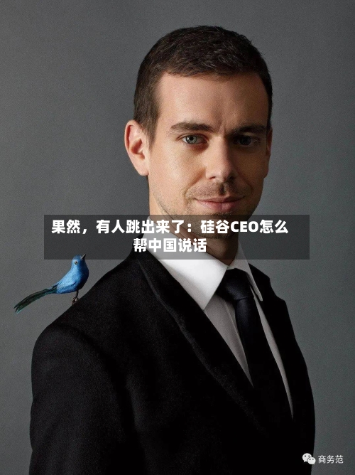 果然，有人跳出来了：硅谷CEO怎么帮中国说话