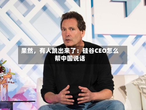 果然	，有人跳出来了：硅谷CEO怎么帮中国说话-第3张图片