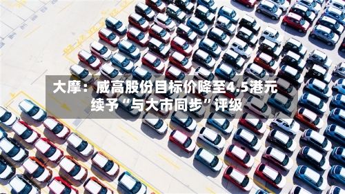 大摩：威高股份目标价降至4.5港元 续予“与大市同步	”评级-第1张图片