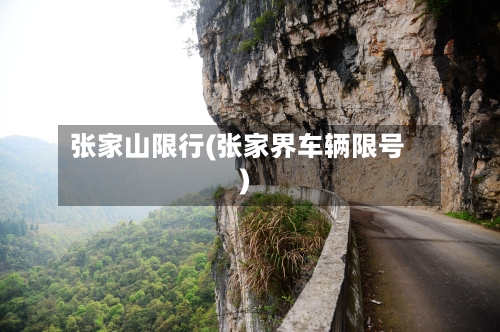 张家山限行(张家界车辆限号)-第2张图片
