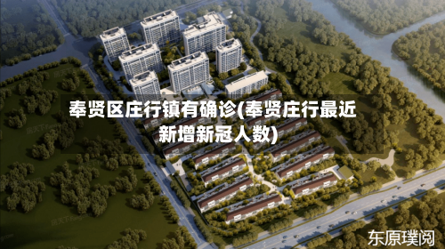 奉贤区庄行镇有确诊(奉贤庄行最近新增新冠人数)-第2张图片
