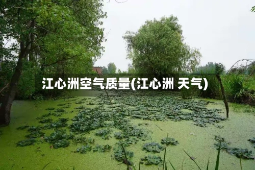 江心洲空气质量(江心洲 天气)