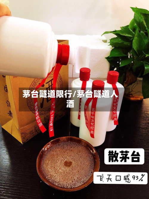 茅台隧道限行/茅台隧道人酒-第2张图片