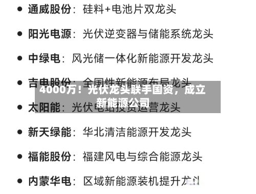 4000万！光伏龙头联手国资	，成立新能源公司-第1张图片