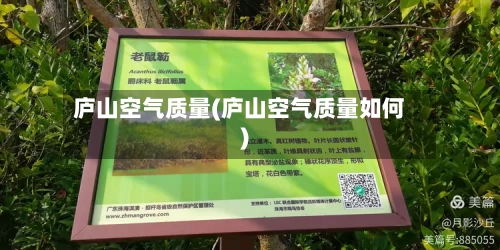 庐山空气质量(庐山空气质量如何)-第2张图片