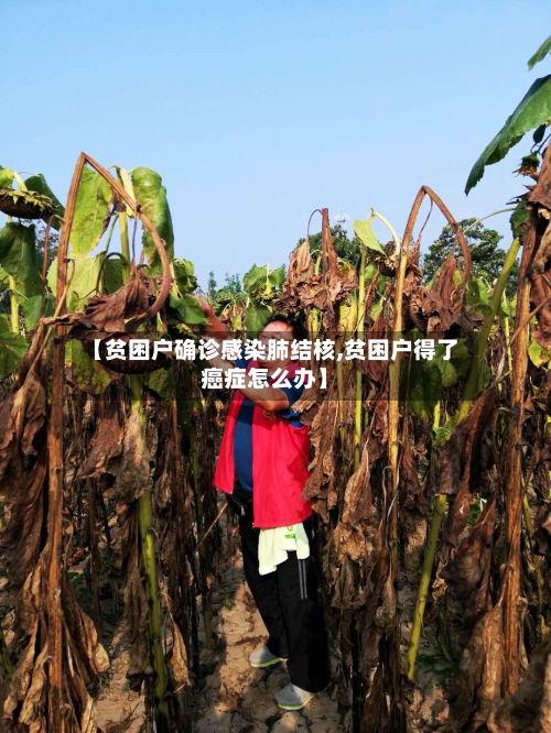 【贫困户确诊感染肺结核,贫困户得了癌症怎么办】-第2张图片
