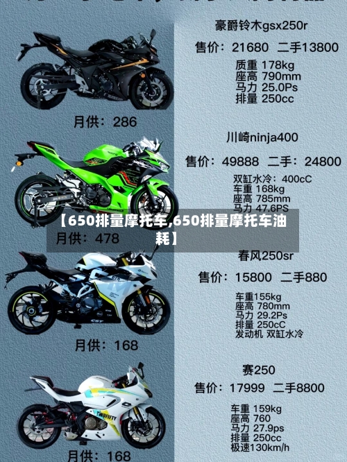 【650排量摩托车,650排量摩托车油耗】-第2张图片
