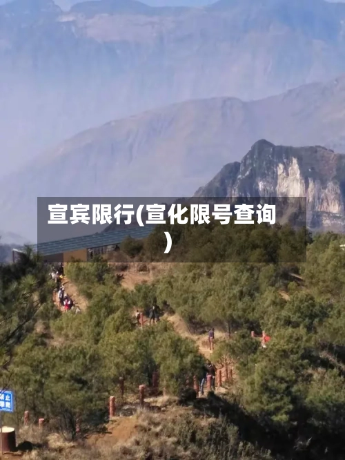 宣宾限行(宣化限号查询)