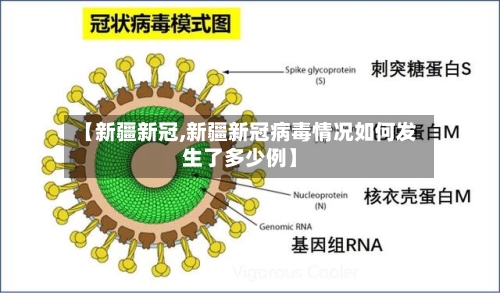 【新疆新冠,新疆新冠病毒情况如何发生了多少例】
