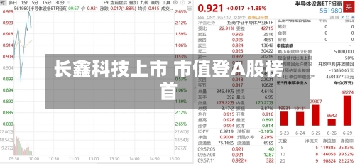长鑫科技上市 市值登A股榜首