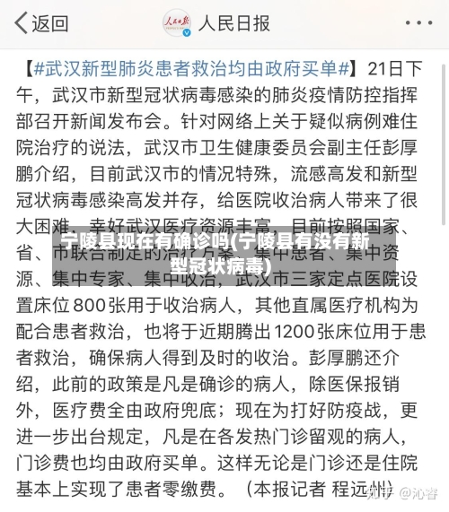 宁陵县现在有确诊吗(宁陵县有没有新型冠状病毒)-第2张图片