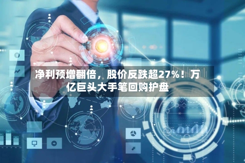 净利预增翻倍，股价反跌超27%！万亿巨头大手笔回购护盘-第2张图片