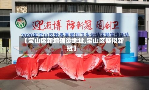 【宝山区新增确诊地址,宝山区疑似新冠】-第2张图片