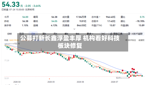 公募打新长鑫浮盈丰厚 机构看好科技板块修复-第2张图片