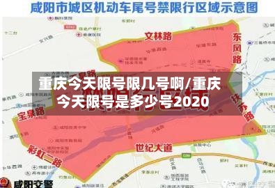 重庆今天限号限几号啊/重庆今天限号是多少号2020-第2张图片