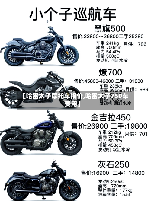 【哈雷太子摩托车报价,哈雷太子750车费用】-第3张图片