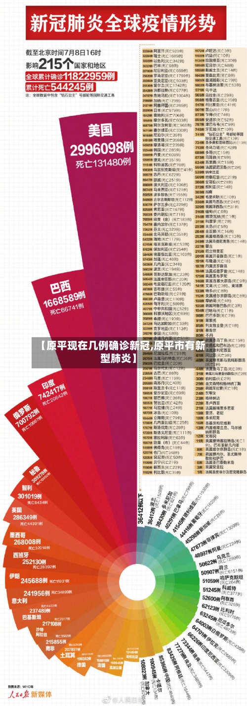 【原平现在几例确诊新冠,原平市有新型肺炎】
