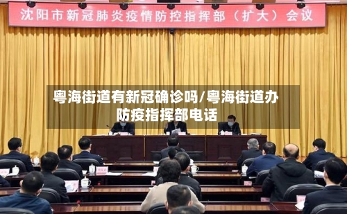 粤海街道有新冠确诊吗/粤海街道办防疫指挥部电话