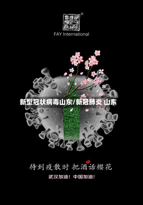新型冠状病毒山东/新冠肺炎 山东