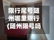 限行尾号随州哪里限行(随州限号吗)-第3张图片