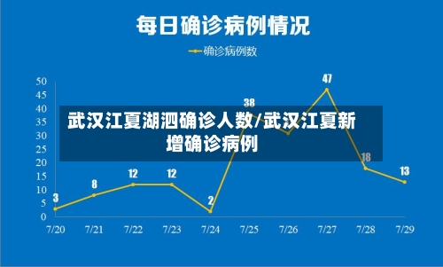 武汉江夏湖泗确诊人数/武汉江夏新增确诊病例-第2张图片