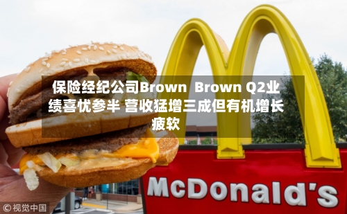 保险经纪公司Brown  Brown Q2业绩喜忧参半 营收猛增三成但有机增长疲软
