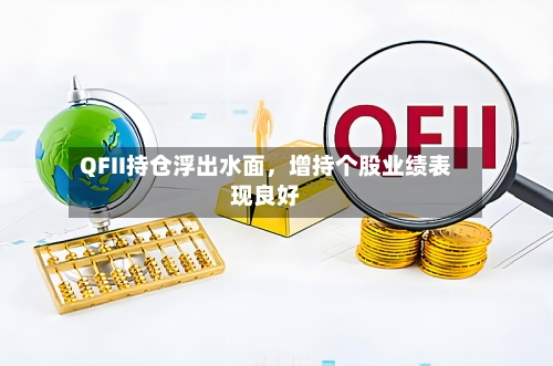 QFII持仓浮出水面，增持个股业绩表现良好-第2张图片