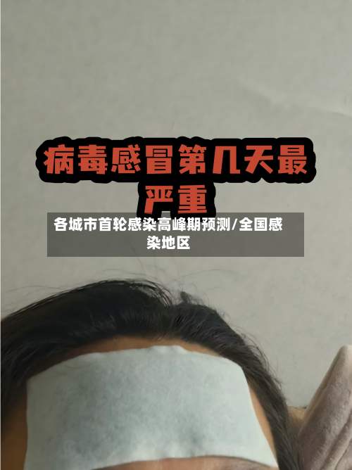 各城市首轮感染高峰期预测/全国感染地区-第2张图片