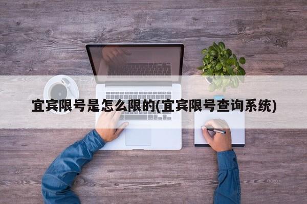 宜宾限号是怎么限的(宜宾限号查询系统)